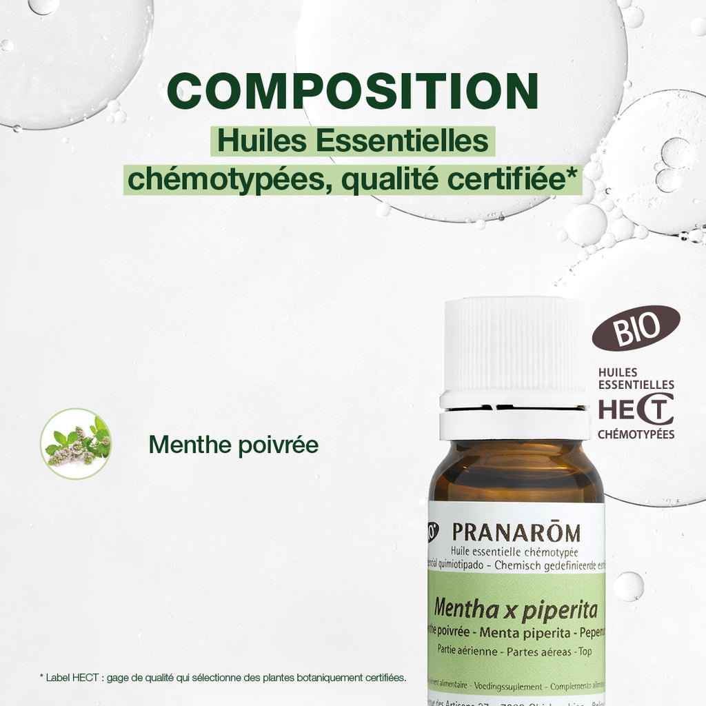 2465-he-menthe-poivree-partie-aerienne-pranarom-10ml-fr24-5420008524653-04.jpg