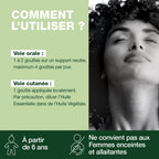 2465-he-menthe-poivree-partie-aerienne-pranarom-10ml-fr24-5420008524653-05.jpg
