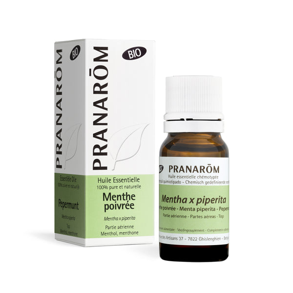 2465-menthe-poivree-bio-pranarom-10ml-fr23-5420008524653-01.jpg