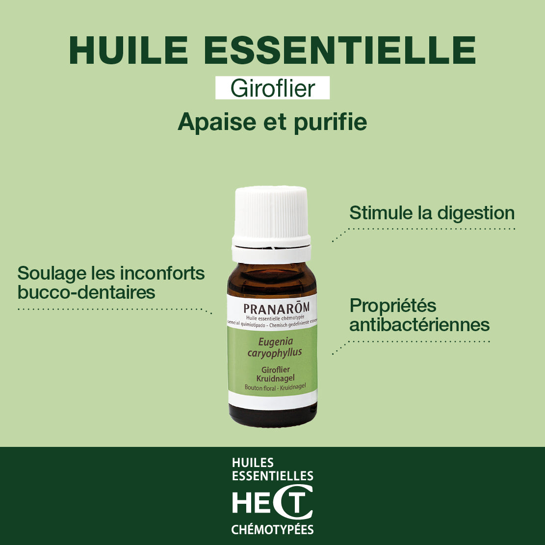 262-he-giroflier-bouton-floral-pranarom-10ml-fr24-5420008502620-02.jpg