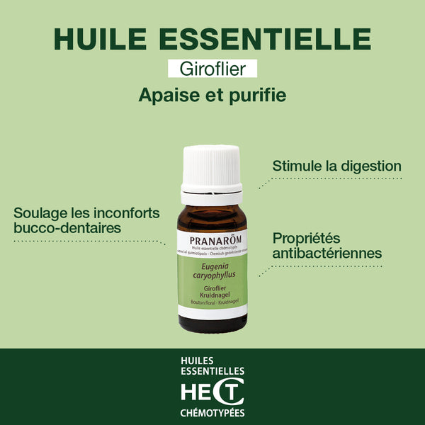 262-he-giroflier-bouton-floral-pranarom-10ml-fr24-5420008502620-02.jpg