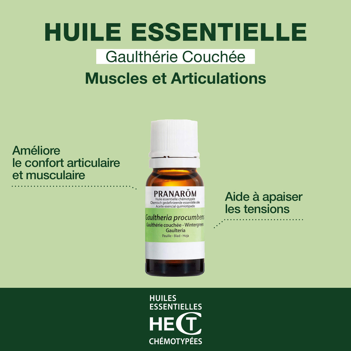 281-he-gaultherie-couchee-feuille-pranarom-10ml-fr24-5420008502811-02.jpg
