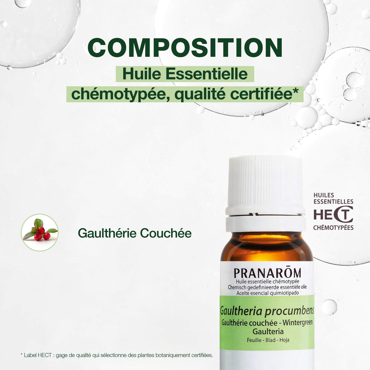 281-he-gaultherie-couchee-feuille-pranarom-10ml-fr24-5420008502811-03.jpg