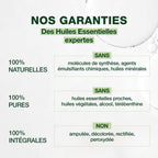 281-he-gaultherie-couchee-feuille-pranarom-10ml-fr24-5420008502811-04.jpg