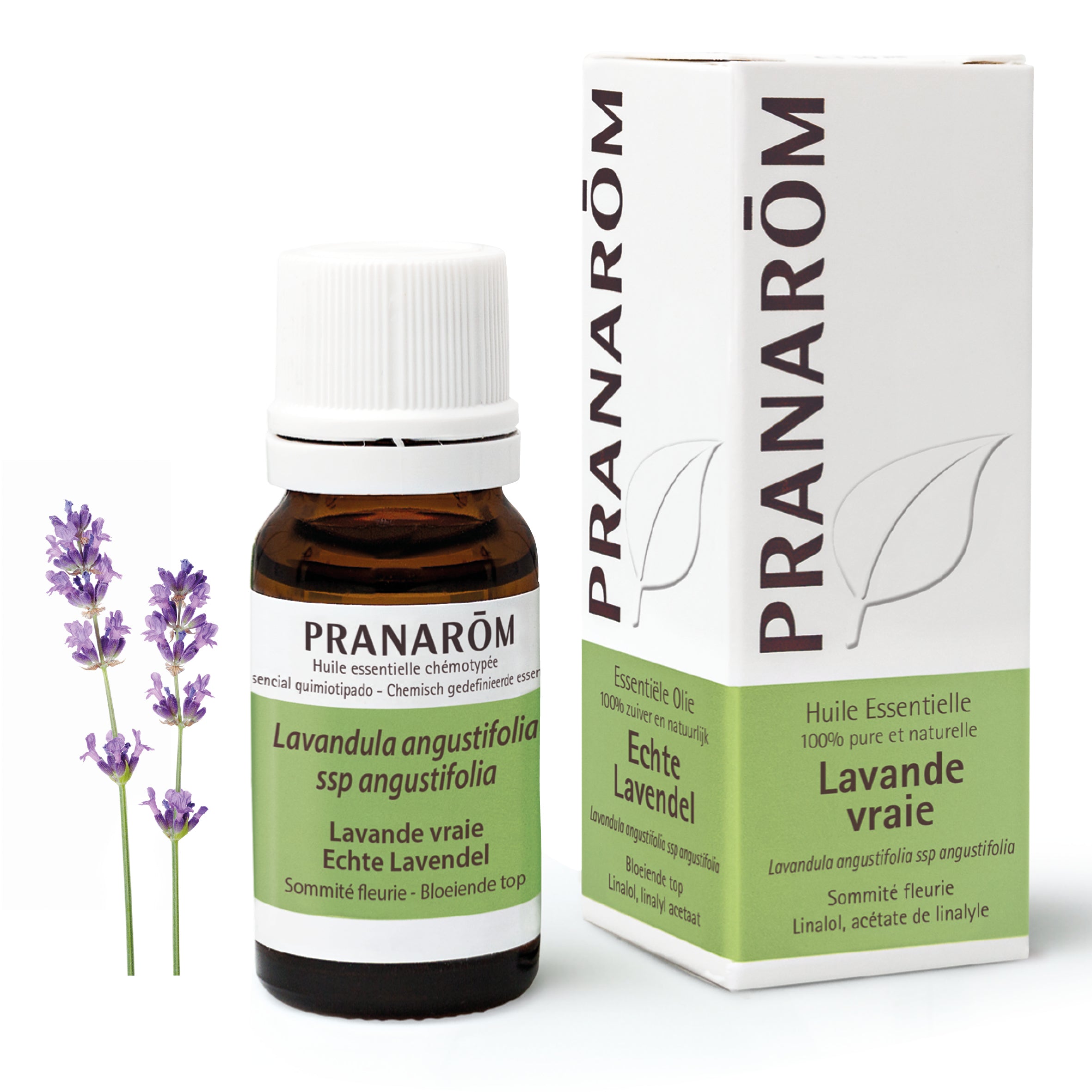 Huile Essentielle de Lavande vraie - 10 ml | Pranarôm