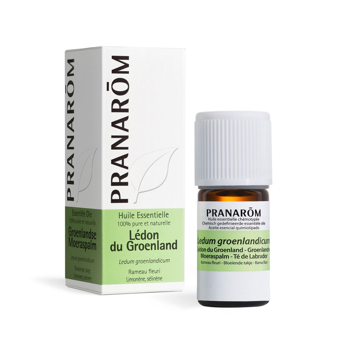 368-ledon-du-groenland-pranarom-5ml-fr23-5420008503689-01.jpg