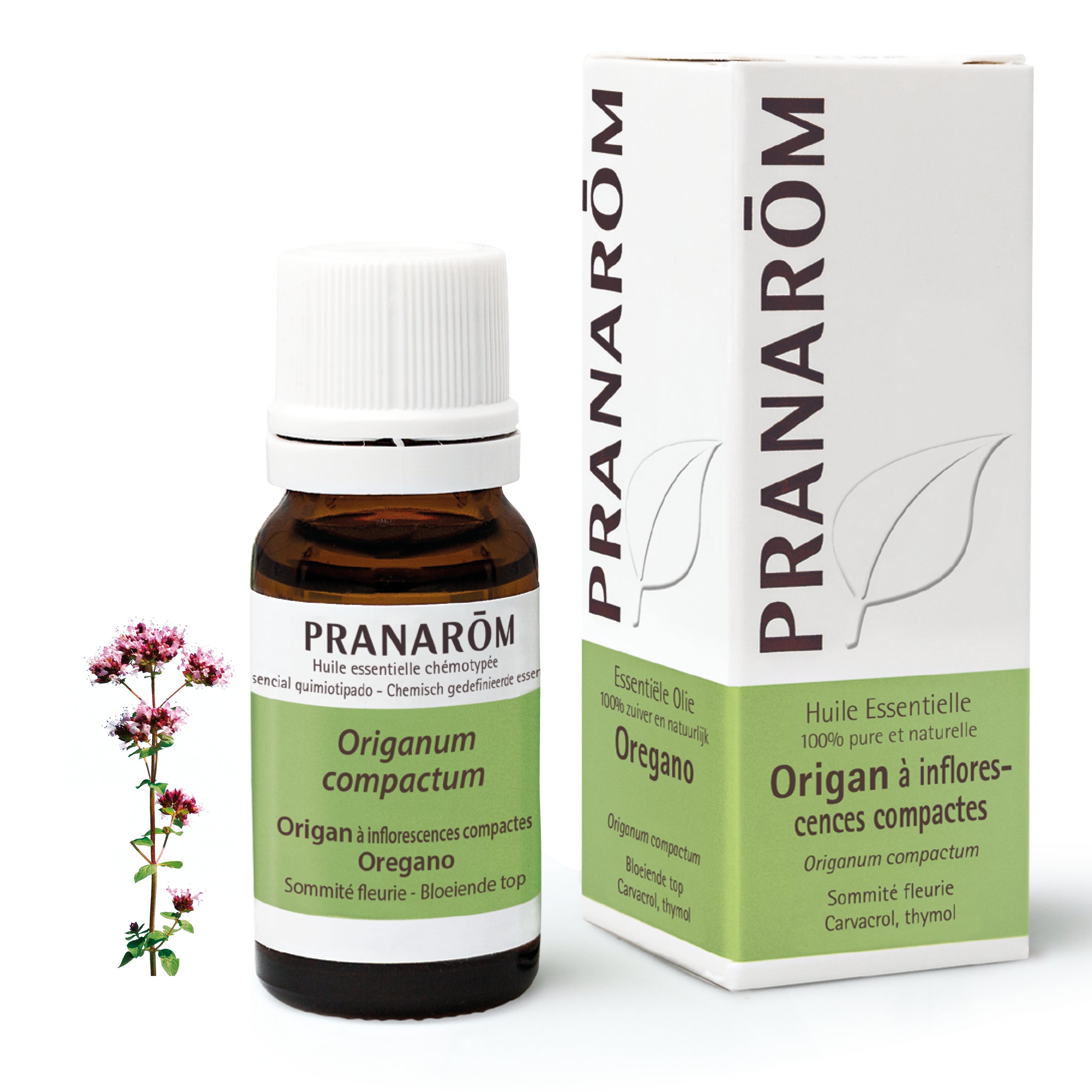478-he-frnl20-origan-oregano-10ml-pranarom-01.jpg