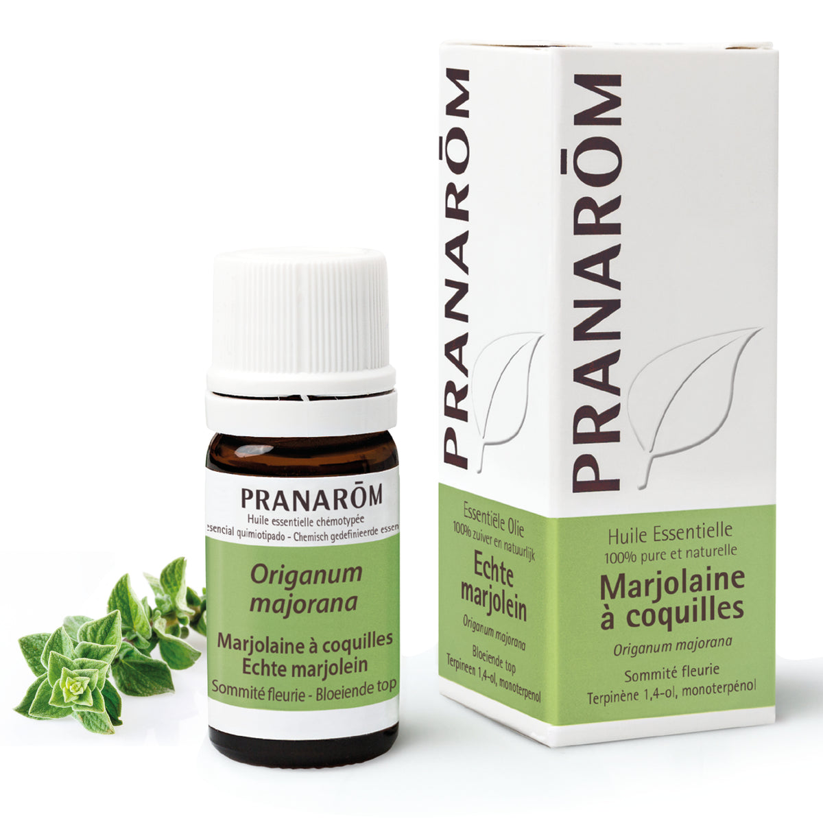 485-he-frnl20-marjolaine-a-coquilles-echte-marjolein-5ml-pranarom-01.jpg