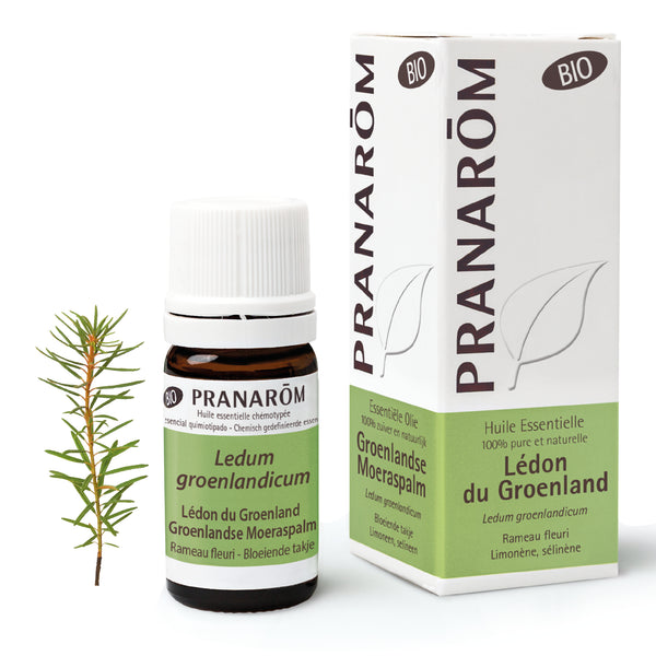 6143-hebio-frnl20-ledon-du-groenland-groenlandse-moeraspalm-5ml-pranarom-01.jpg