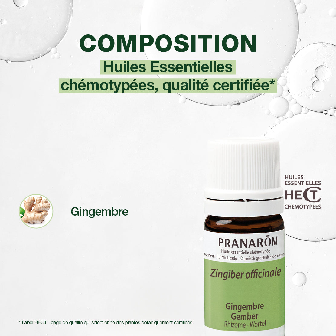 656-he-gingembre-rhizome-pranarom-5ml-fr24-5420008506567-04.jpg