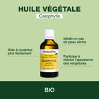 6732-hv-calophylle-pranarom-50ml-bio-fr26-5420008596766-02.jpg
