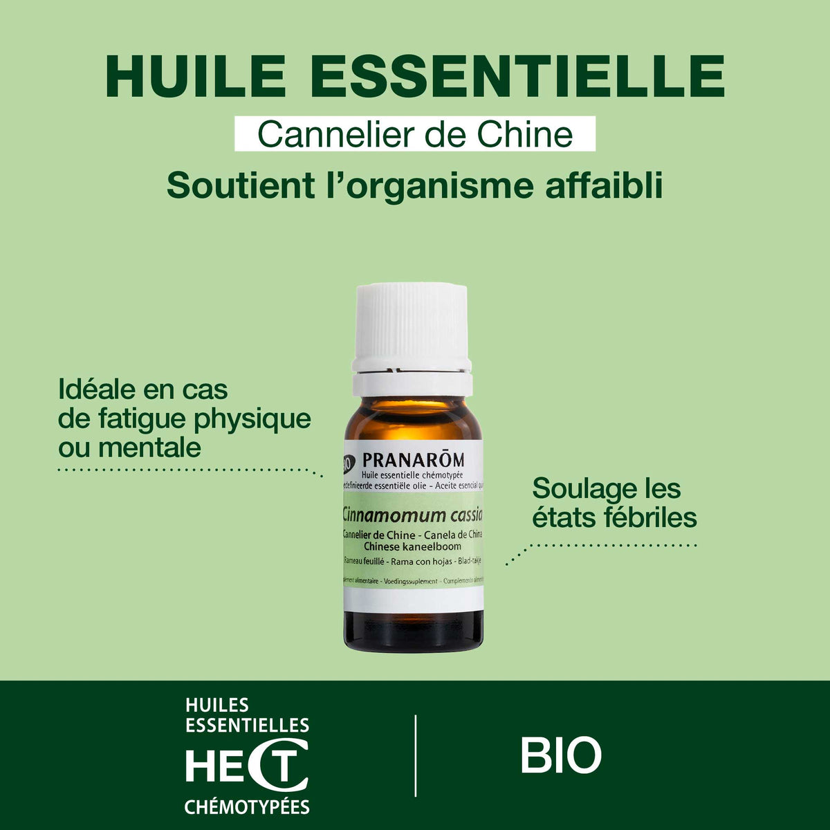 7192-he-cannelier-de-chine-rameau-feuille-pranarom-10ml-fr24-5420008506826-02.jpg