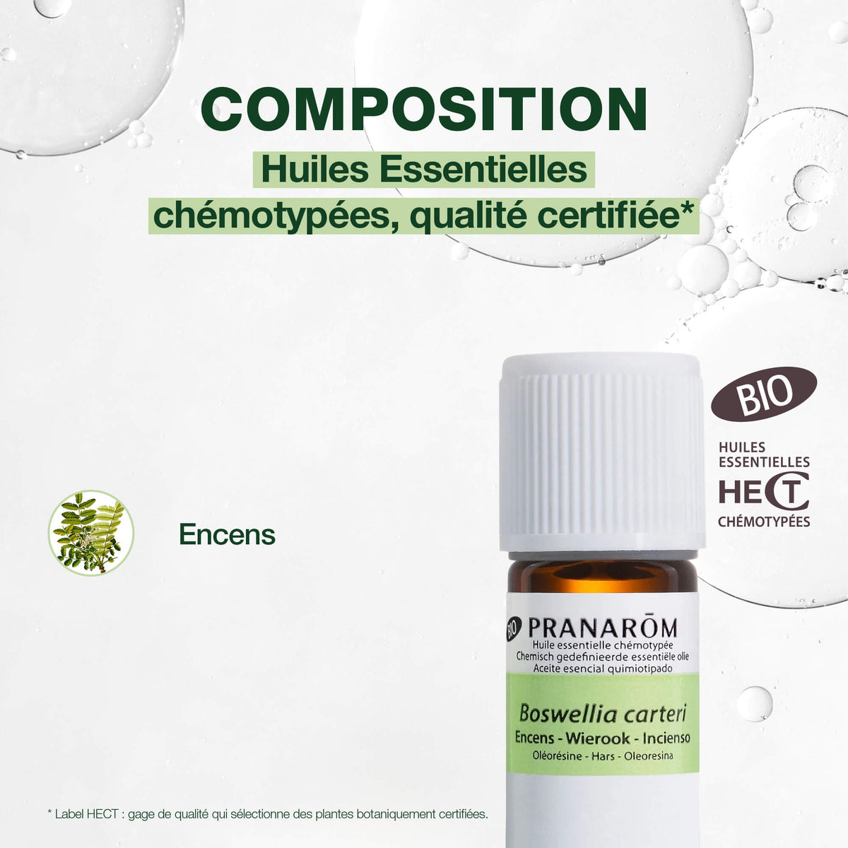 84-he-encens-oleoresine-pranarom-5ml-fr24-5420008513350-04.jpg