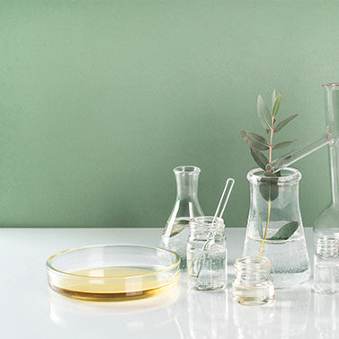 Flacons et béchers en verre avec de l'huile essentielle et des branches d’eucalyptus.