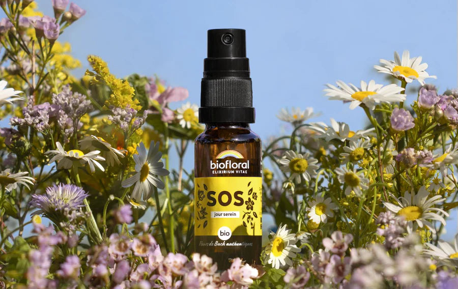 Un flacon d’élixir de fleur de bach Biofloral SOS Jour Serein entouré de fleurs champêtres.