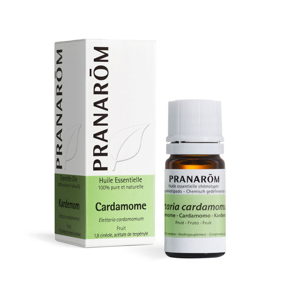 Huile essentielle de cardamome, Elettaria cardamomum, 100 % naturelle.