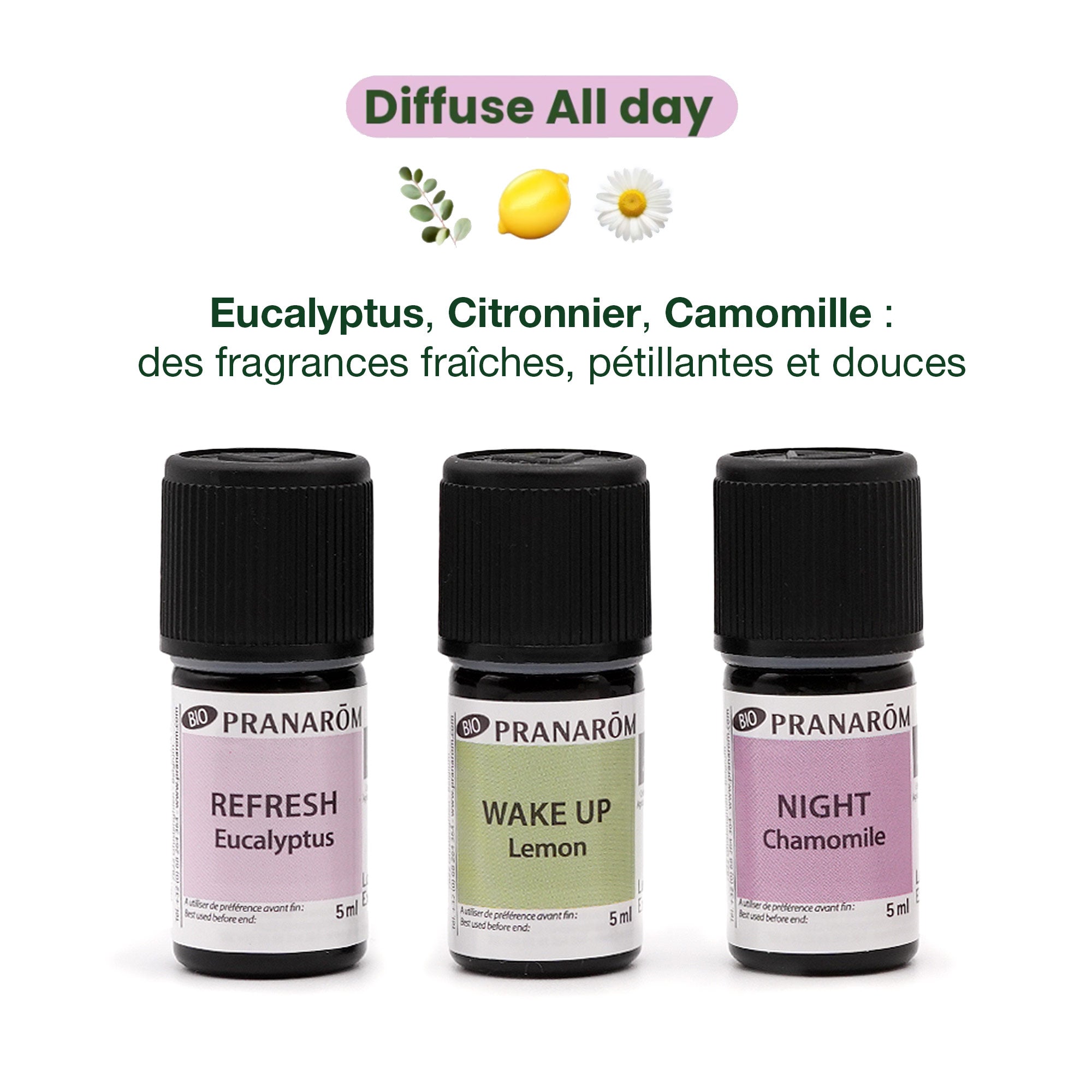 Coffret Diffuse All Day - 3x5ml Bio | Pranarôm