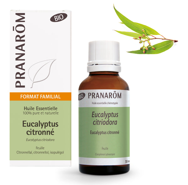 Flacon d'huile essentielle bio d'eucalyptus citronné en format familial (30ml) de Pranarôm.