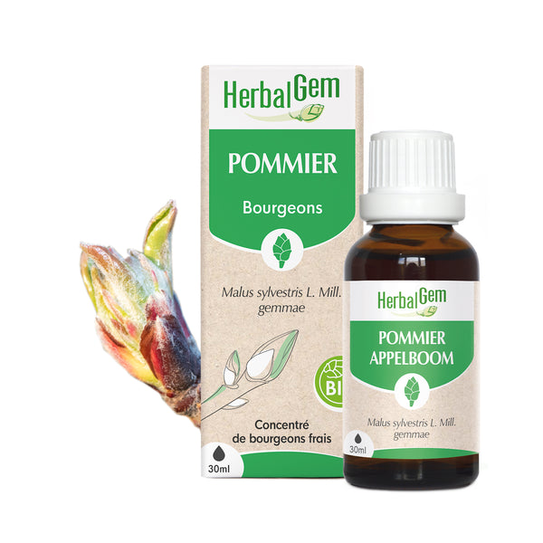 Macérat de bourgeons de pommier bio HerbalGem 30ml.