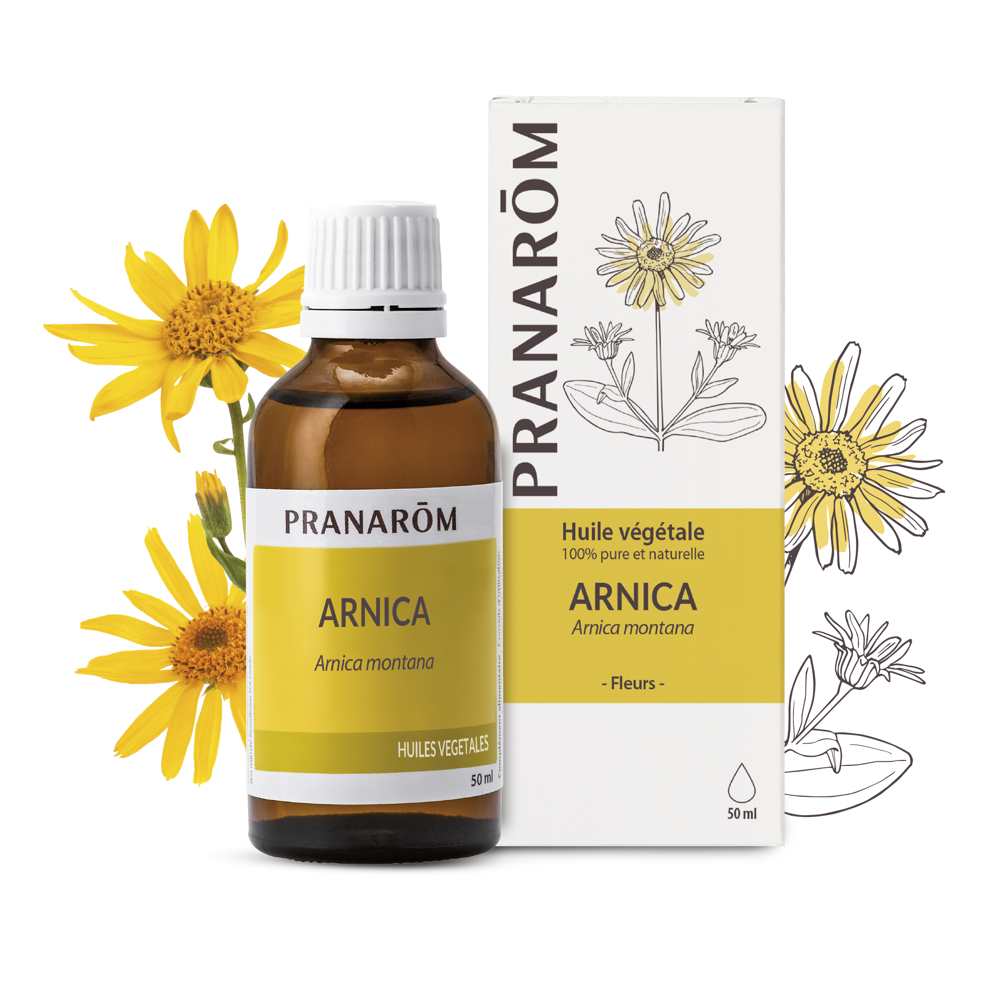 Huile de fleurs d'arnica bio - Phytofrance Huile de fleurs d'arnica bio - Phytofrance