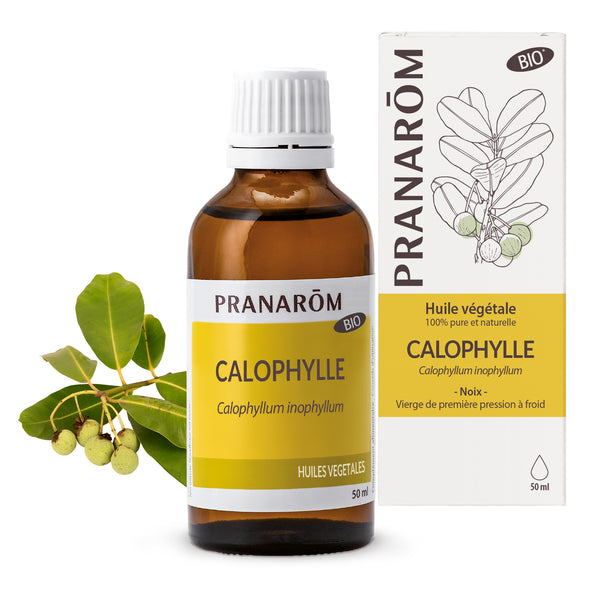 Huile végétale bio de calophylle Pranarôm 50ml, idéale pour la circulation.