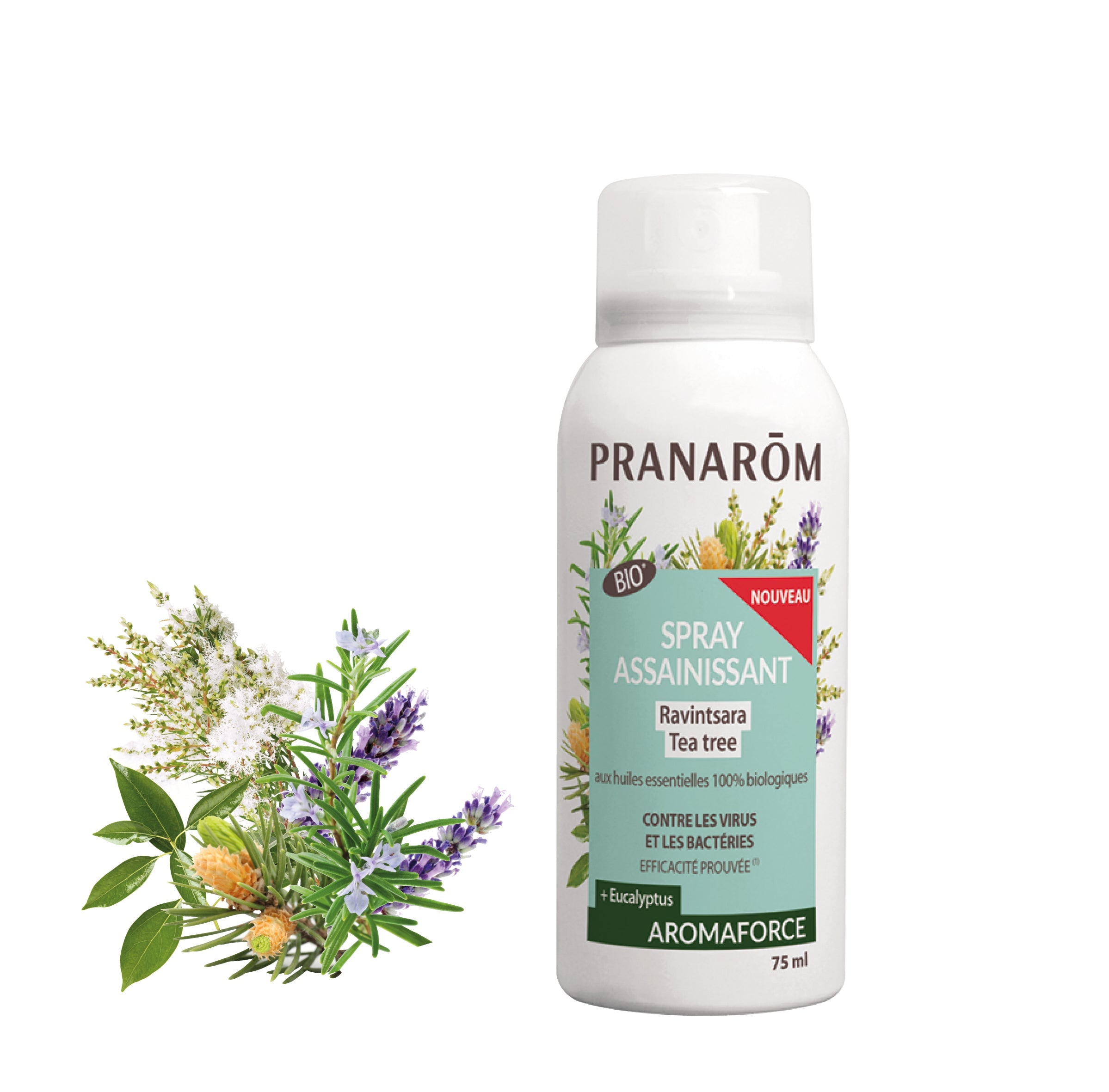 Spray assainissant Ravintsara - Tea tree - Bio