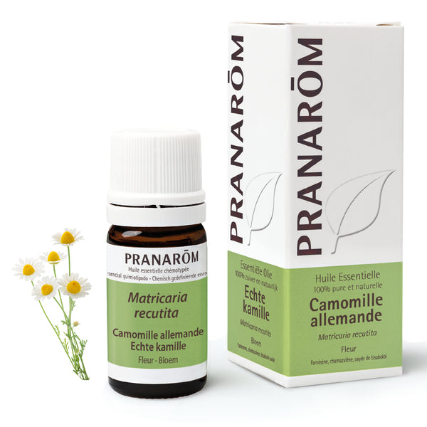 Flacon d'huile essentielle de camomille allemande (5ml) de Pranarôm.
