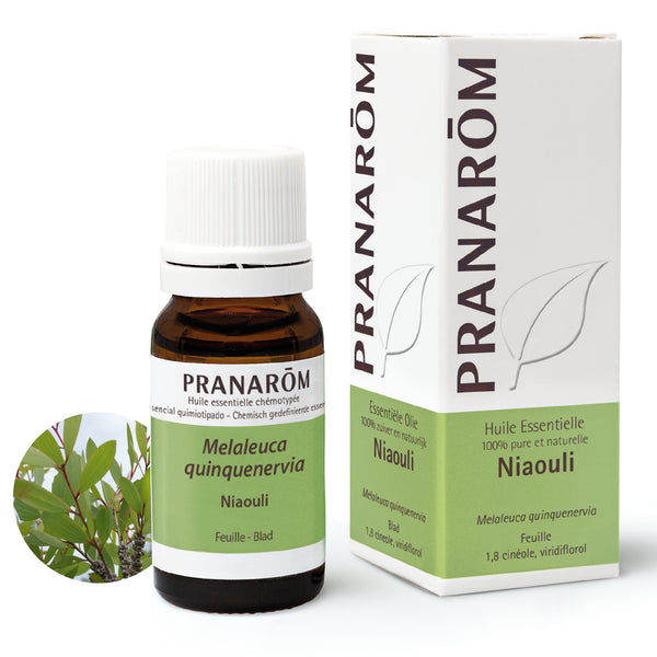 Flacon d'huile essentielle de niaouli (melaleuca quinquenervia), 10ml, de Pranarôm.