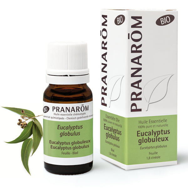 Huile essentielle d’Eucalyptus globuleux Pranarom 10 ml, flacon en verre pour décongestion nasale, respiratoire et équilibre du bien-être.