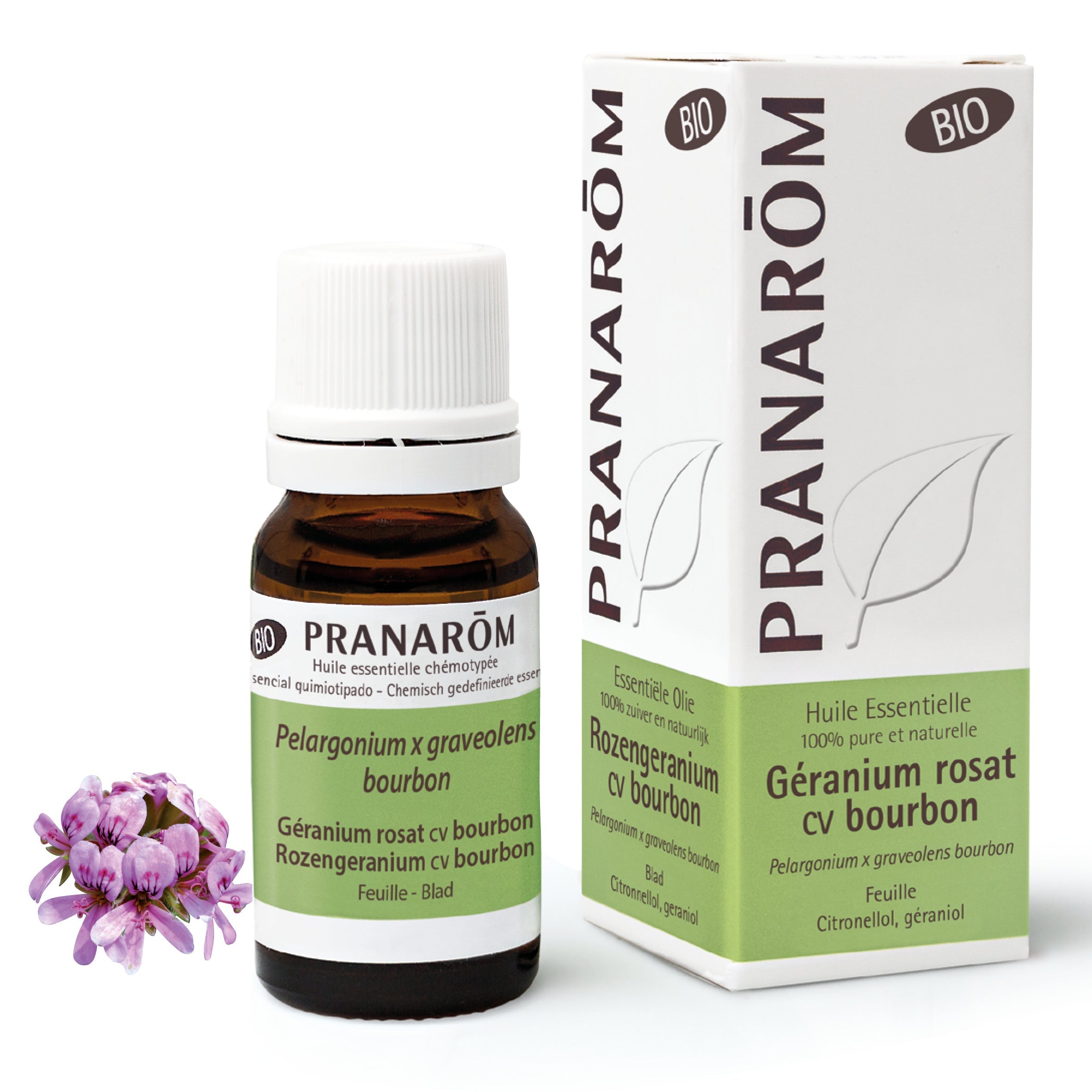 Bourbon geranium - Bio