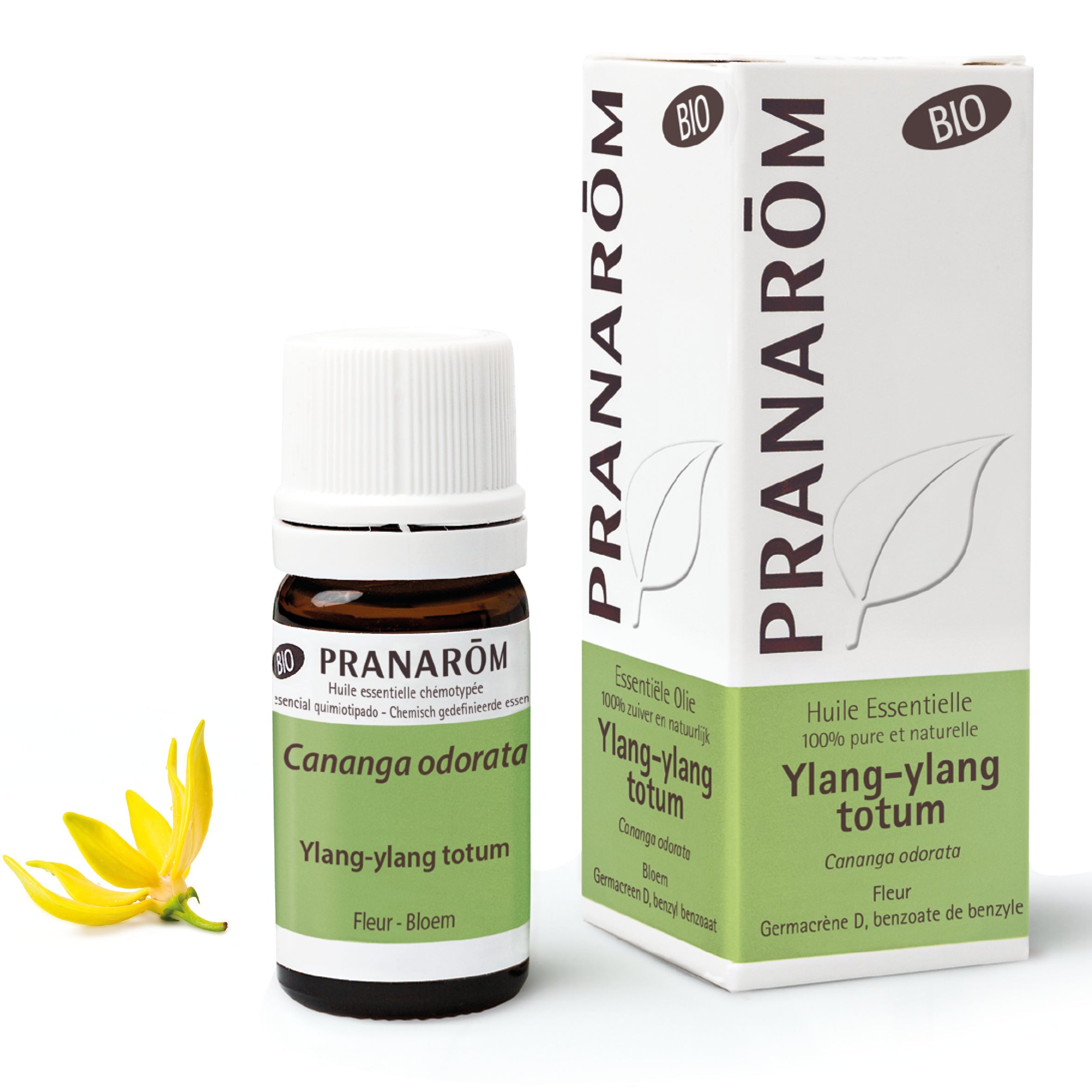 Ylang-ylang totum Essential Oil - Bio