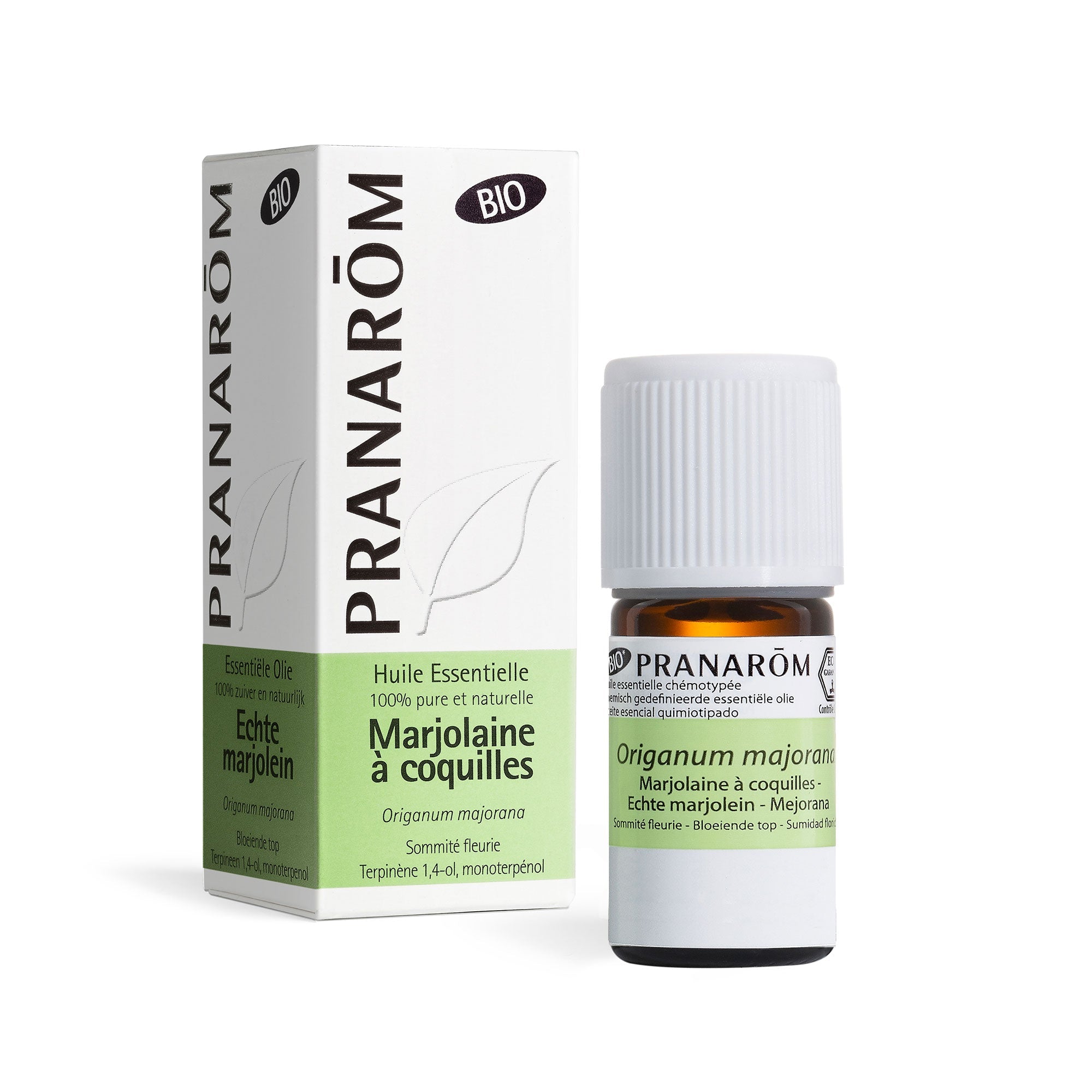 Sweet marjoram - Bio