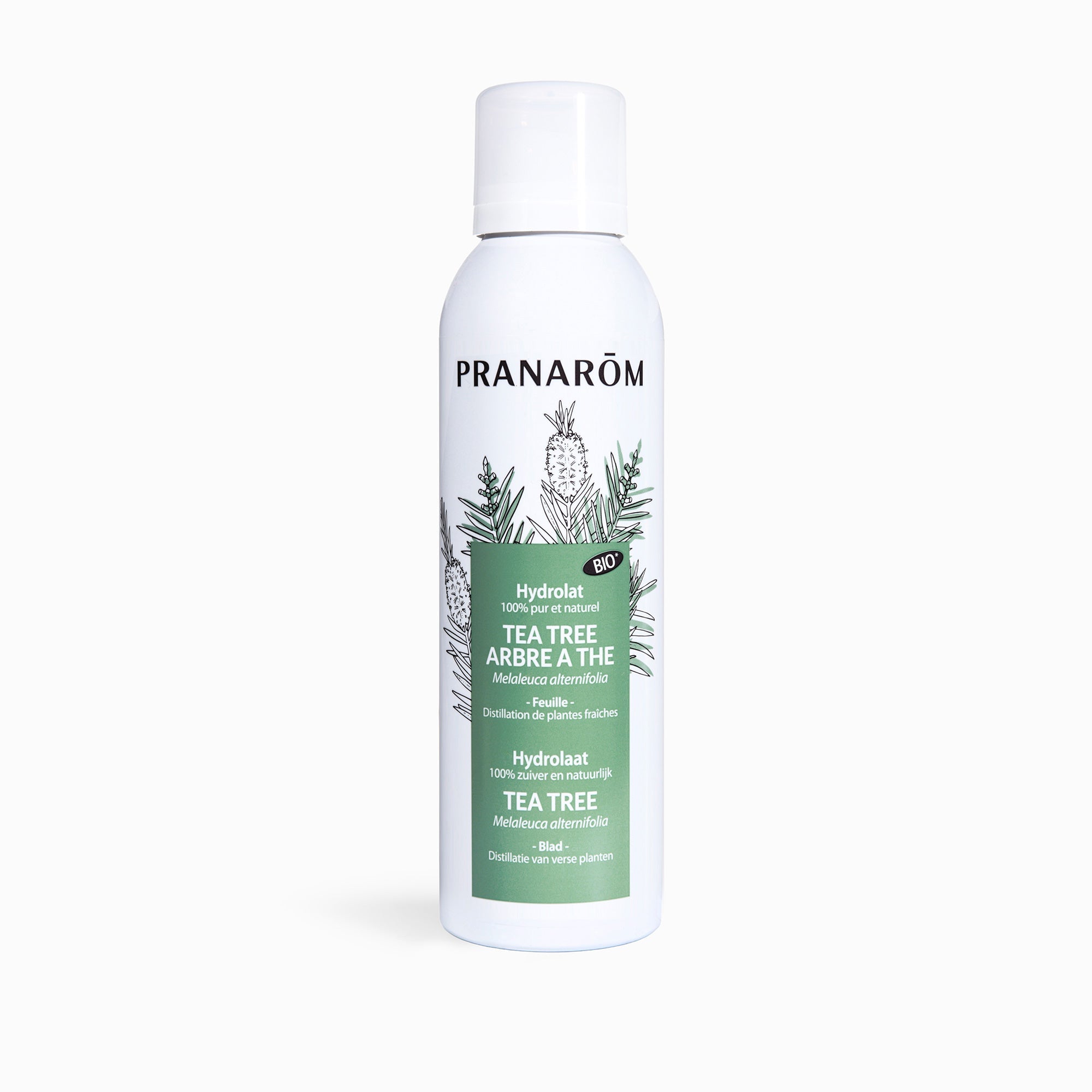Hydrolat de Tea Tree - Arbre à thé - Bio